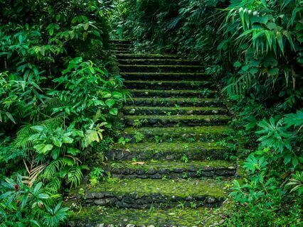 Omnipotence: Awaken Dormant Parts Of The Mind