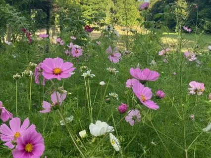 Omstart för klarhet under arbetsdagen