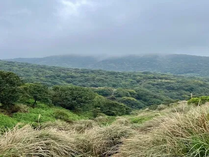 On A Blanket Of Fog, For Gentle And Slow Breathing