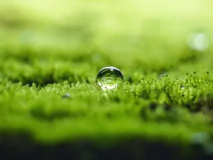 On Awakening: A Secular Adaptation