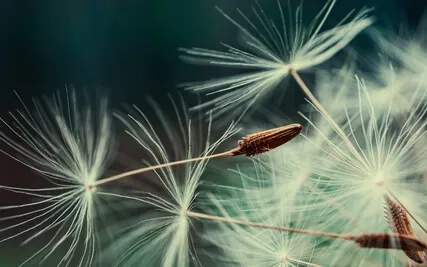 On Children | Khalil Gibran Poem