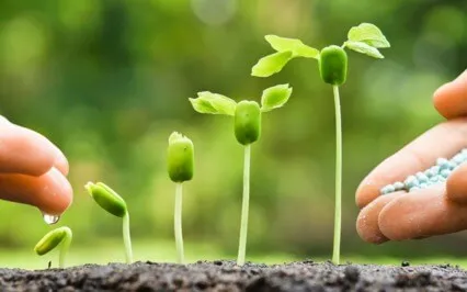 On Growing Up, Love, Money, Impermanence And Reality. 