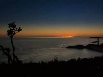 On Having "Too Many" Thoughts, Forgetting, & Feeling Unfocussed & Useless