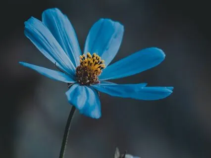 On Letting Go Of Love