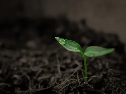 On Living (And Fumbling) With Kerry Egan