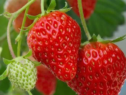 On Noticing Sensations Of Craving (+ Guided Practice)