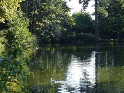 On The Edge Of The Lake  - Relaxing Solo Piano