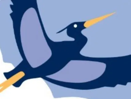 On The Wings Of A Bird