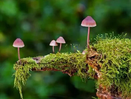 On Unfolding And Becoming Oneself