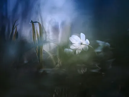 Öndun og hreyfingar