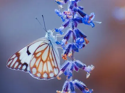 Opening Up ~ A Nondual Contemplation On Being