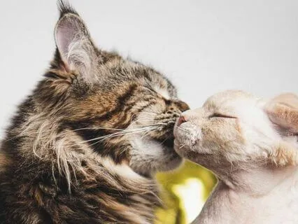 One Connection (3) : Time-Friendly Affirmations