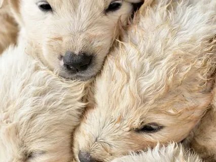 One Connection (5) : Time-Friendly Affirmations