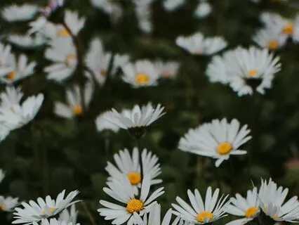 One Day At a Time Gratitude