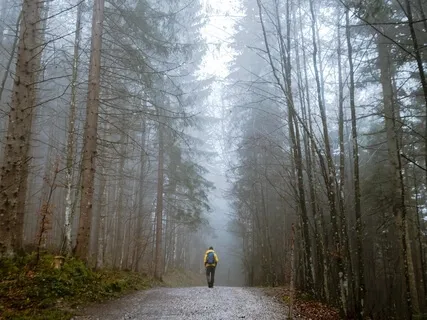 One Foot In Front Of The Other - A Mindful Walking Meditation