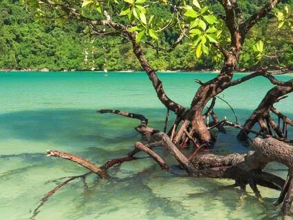 One Hour Backdrop For Meditation