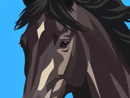One Hour Guided Reading - Black Beauty