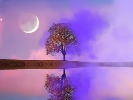 One Hour Of Beautiful Calm
