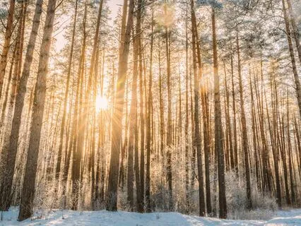 One Hour Of Beautiful Harp Music For Spiritual Reflection