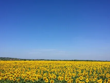 One Hour Of Beautiful Lullaby Piano Music For Babies