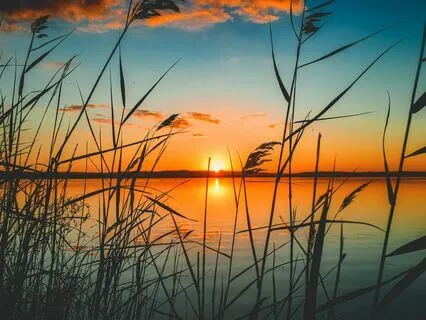 1 Hour Calming Meditation Music for Stress Relief