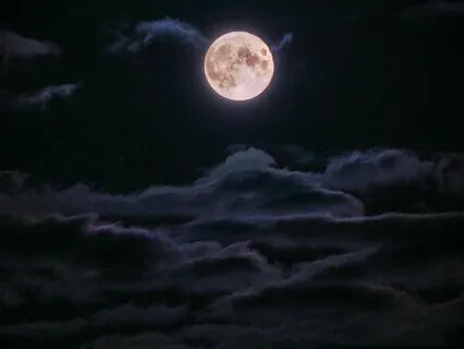 One Hour Of Dreamy Bliss