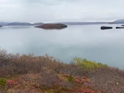 One Hour of Peace & Beauty