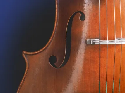 One Hour Of Peaceful Orchestral Music