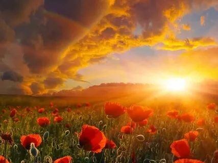 One Hour Of Powerful Nature & Inspiring Emotional Music