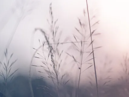 One Hour Of Pure Relaxation 