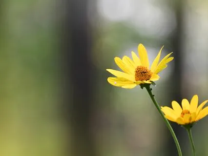 One Hour Of Sentimental Piano