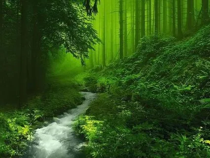 One Hour Sleep And Sound Meditation - Journey To Tranquility