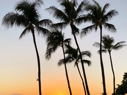 One Hour Stress Management Practice