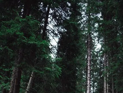 One Minute Breath Break With Water Sounds