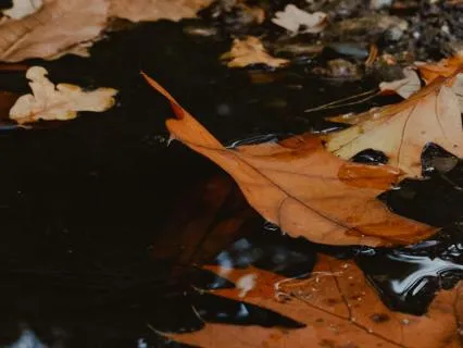 One Minute For Grounding And Centering