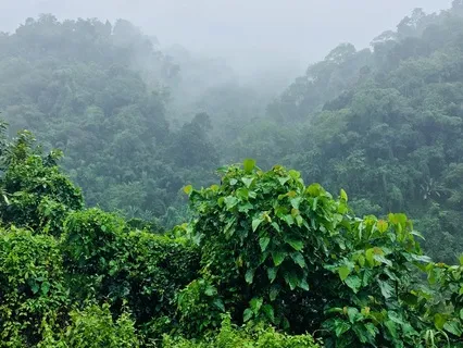 One Minute Grounding Meditation