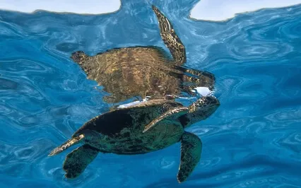 One-Minute Mediation 