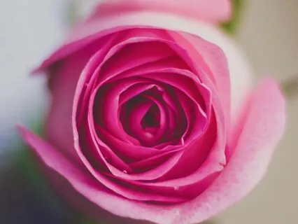 One Minute Meditation