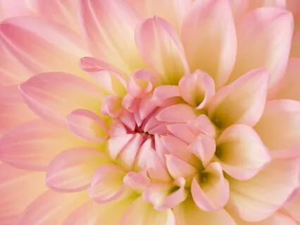 One Minute Practice: Calm And Clear Your Mind