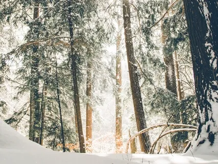 One Minute Meditation: Feel Your Feelings