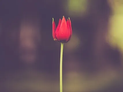 One Minute Practice For Beginners