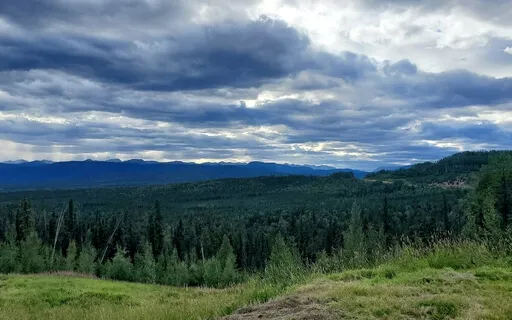 One-Minute Meditation With Music