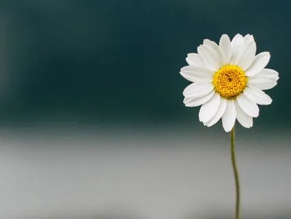 One-Minute Mindful Meditation