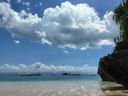 1 Min. Ocean Waves For Calming Down
