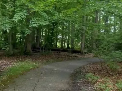 One Minute Nature Walk
