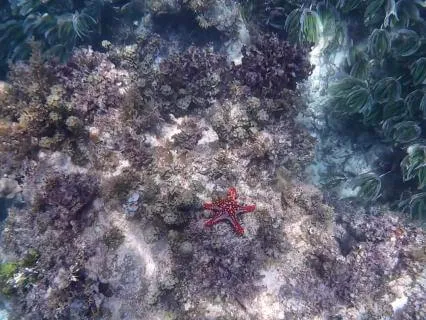 One Minute Of Awe Under The Waves