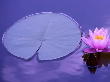 One Minute Of Breath