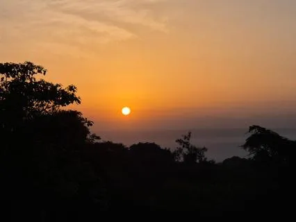 One Minute Of Elation As The Sun Rises Over Eburru Forest