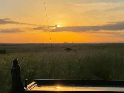One Minute Of Wonder On A Sunrise Safari In Maasai Mara