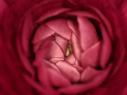 One-Minute Self-Love Magic